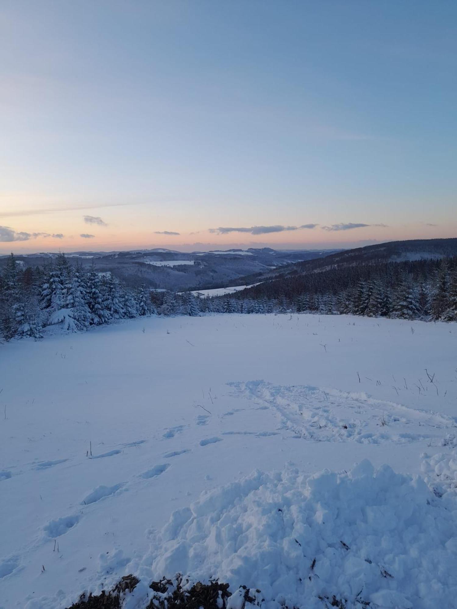 Appartamento Haus Annemiek Winterberg Esterno foto