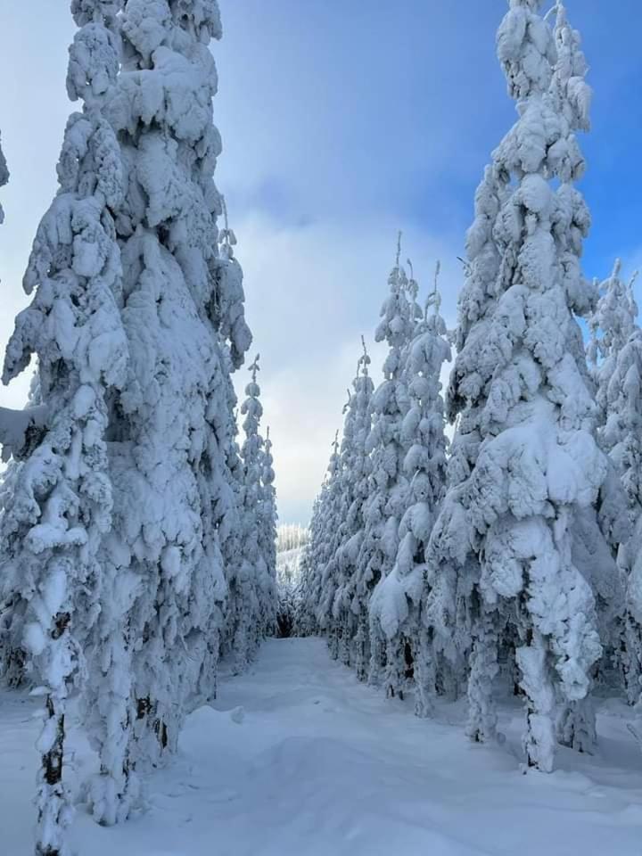 Appartamento Haus Annemiek Winterberg Esterno foto