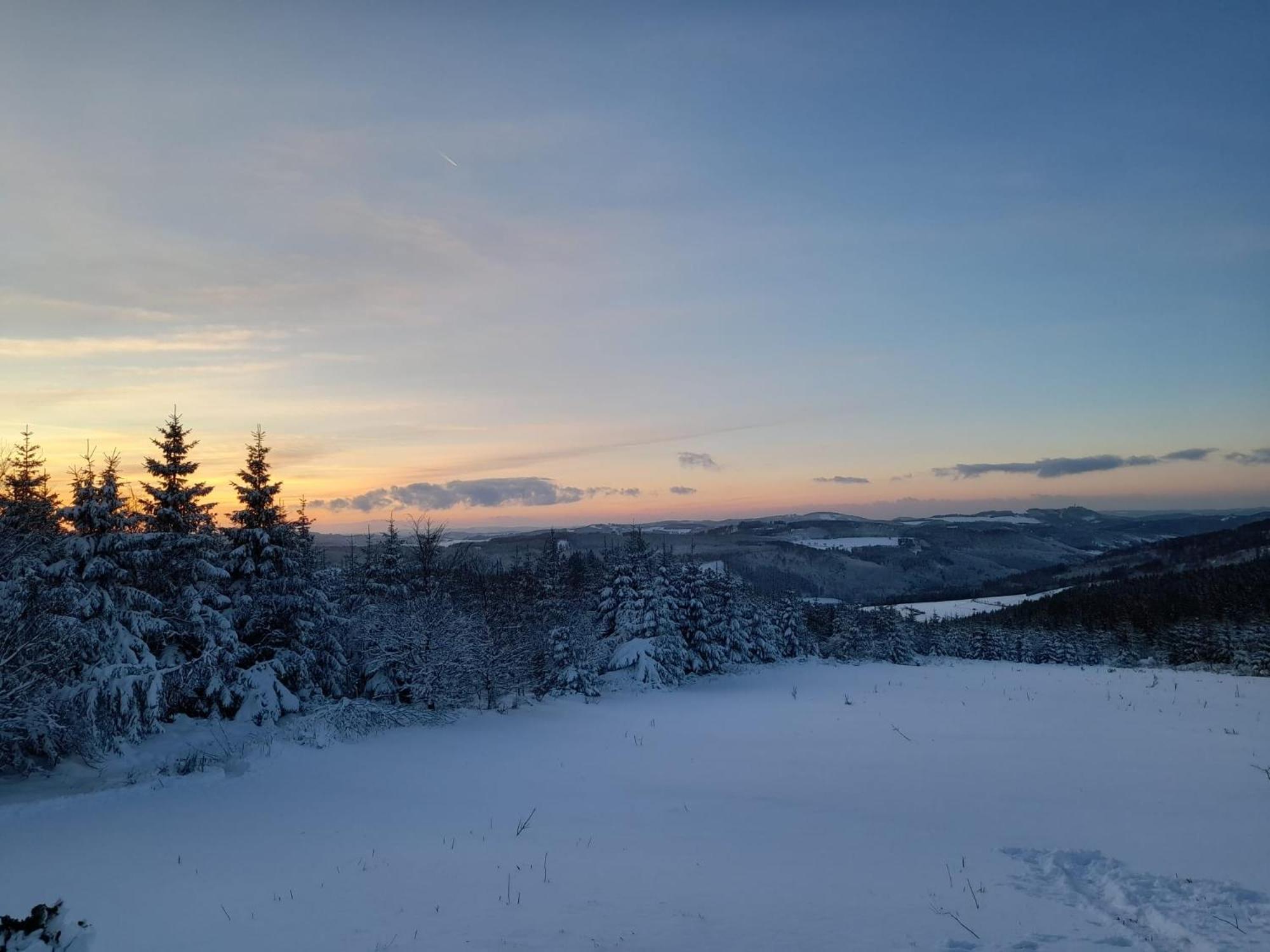 Appartamento Haus Annemiek Winterberg Esterno foto