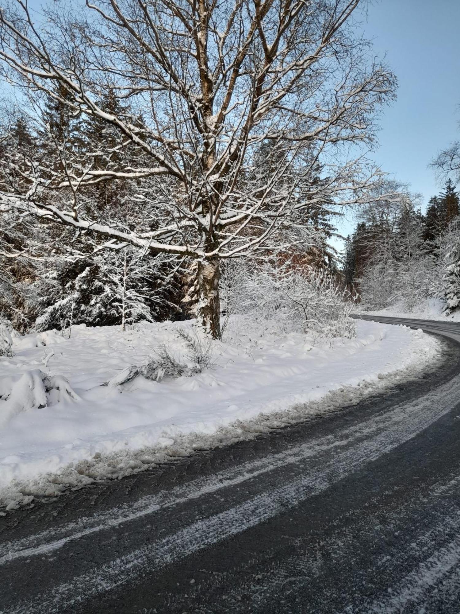 Appartamento Haus Annemiek Winterberg Esterno foto