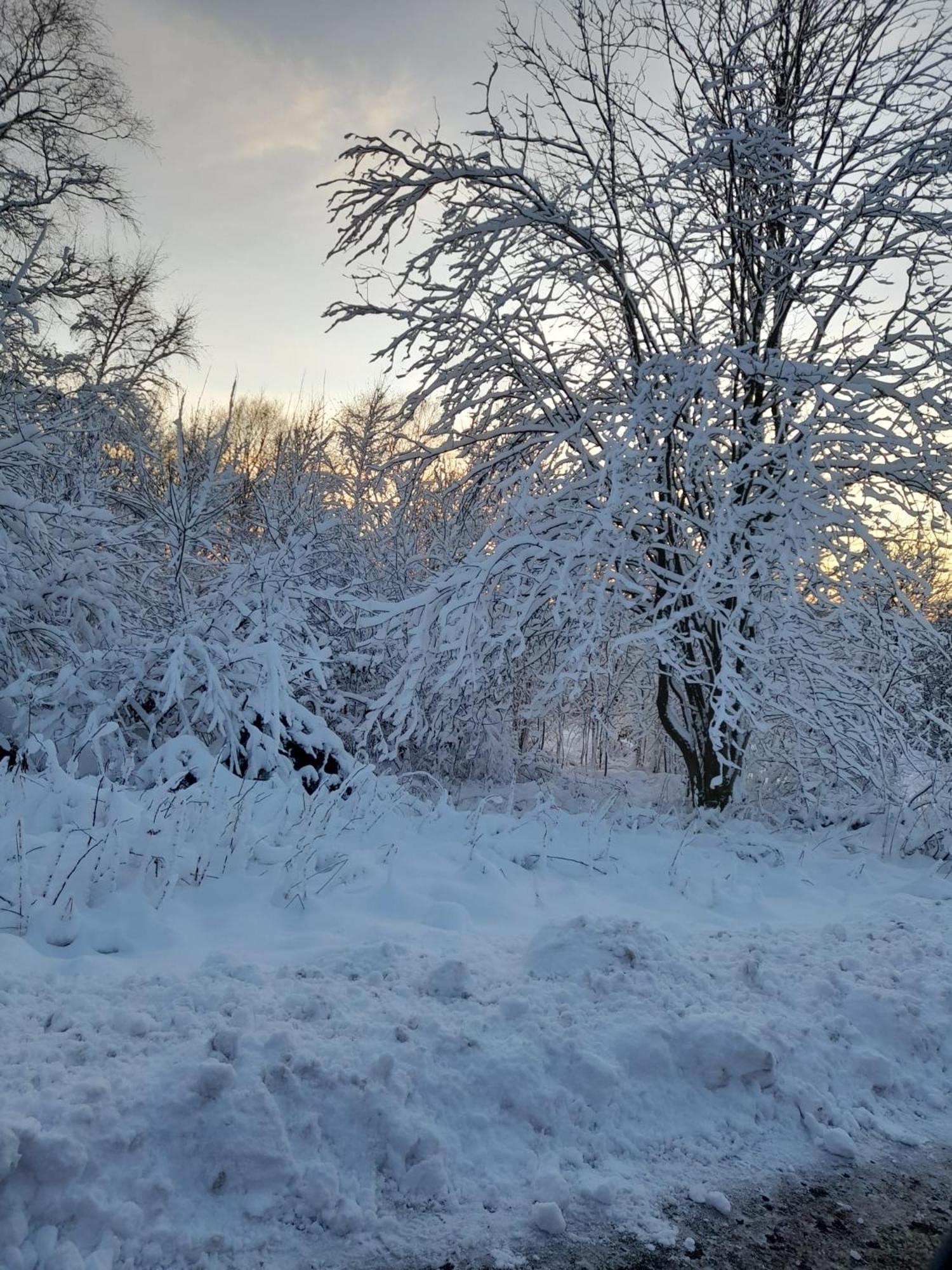 Appartamento Haus Annemiek Winterberg Esterno foto
