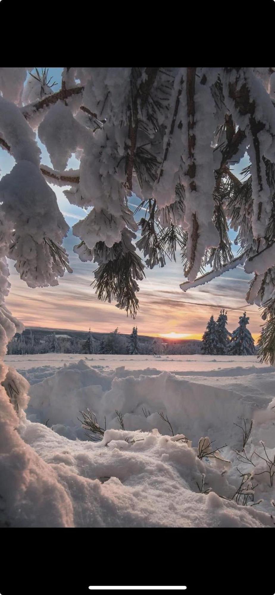 Appartamento Haus Annemiek Winterberg Esterno foto